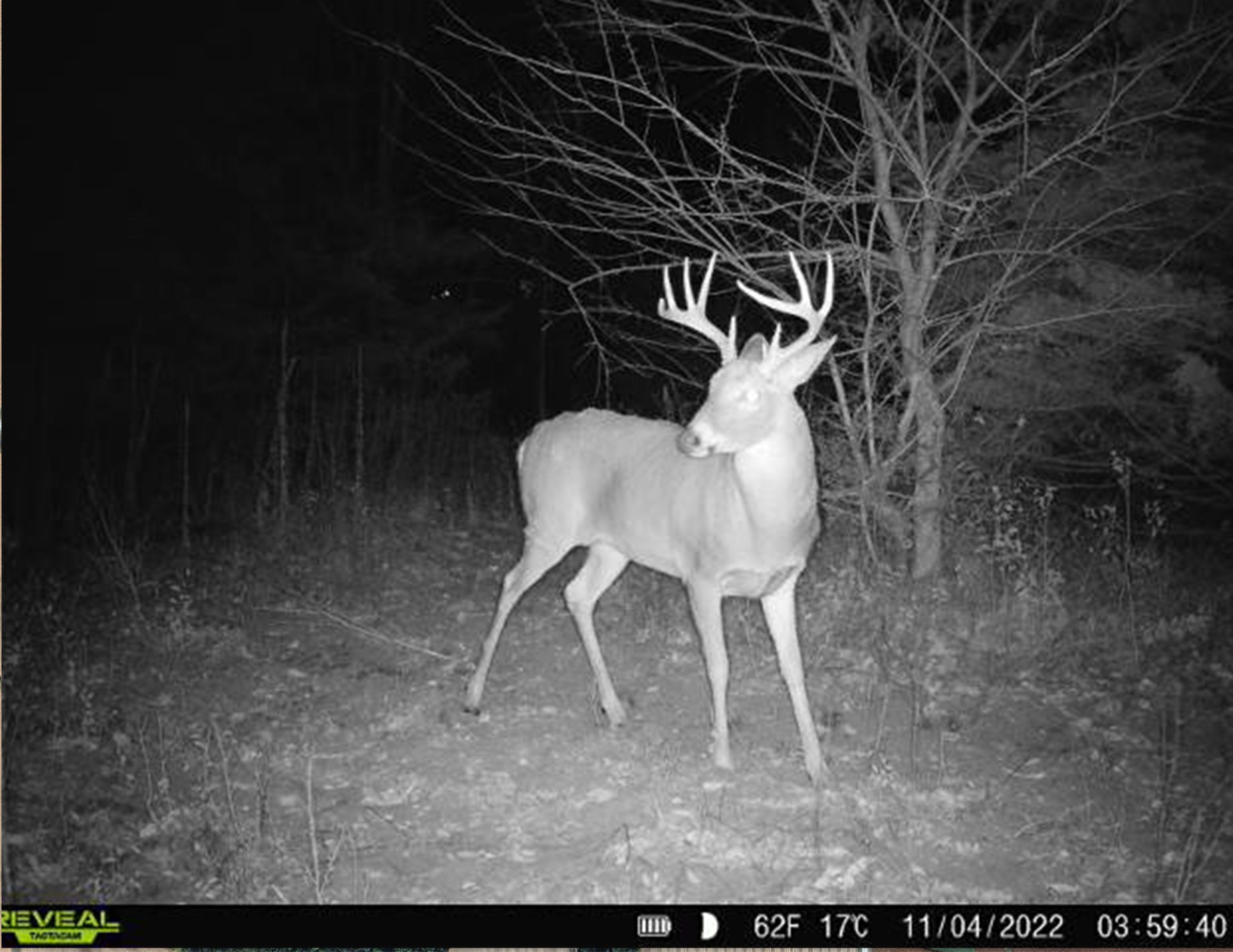 Listing Photo: Deer Ten Acre